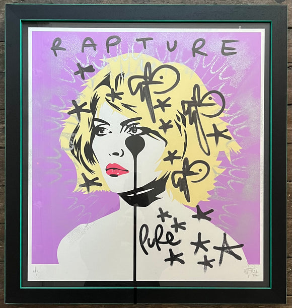 Handfinished Blondie in custom frame - Heart of Glass - Rapture of Gossamer wings stencil