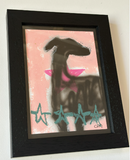 Caitlin Flood-Molyneux - Study 6