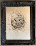 Hairy Monster - Framed birds nest with wiggly eyes in Black ornate frame